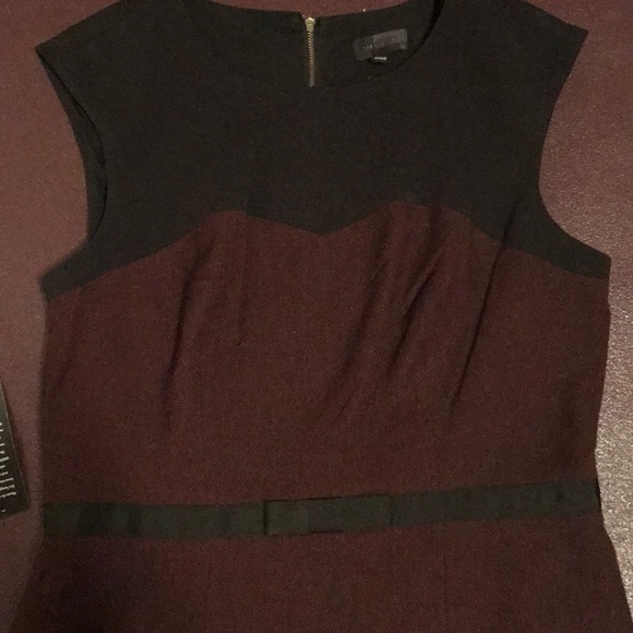 The Limited Dress - Picture 2 of 2